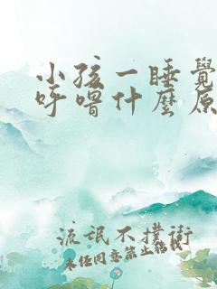 小孩一睡觉就打呼噜什么原因