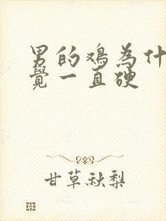 男的鸡为什么睡觉一直硬