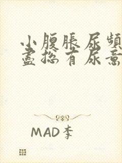 小腹胀尿频尿不尽总有尿意