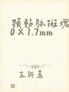 颈动脉斑块8.0×1.7mm