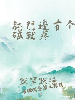 肛门边有个包一碰就疼