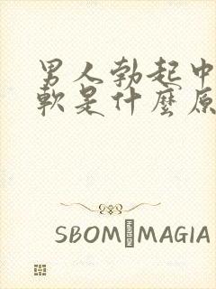 男人勃起中途变软是什么原因引起的