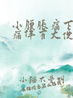 小腹胀痛下坠疼痛伴有大便感屁多