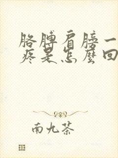 胳膊肩膀一动就疼是怎么回事