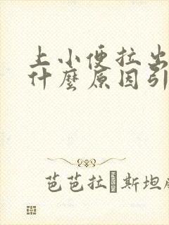 上小便拉出血是什么原因引起的