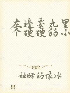 左边睾丸里面有个硬硬的小疙瘩还疼