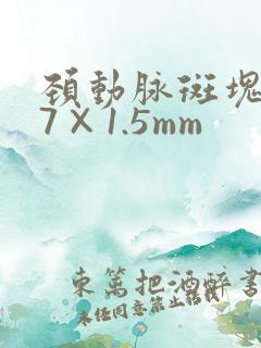 颈动脉斑块3.7×1.5mm