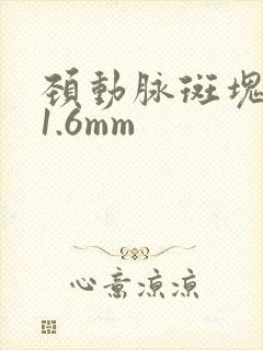 颈动脉斑块厚约1.6mm