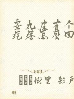 睾丸皮有个小硬疙瘩怎么回事