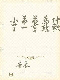 小弟弟为什么硬了一会就软