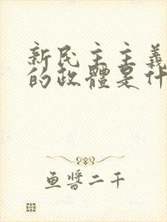 新民主主义革命的政体是什么