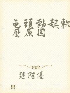 龟头勃起软是什么原因