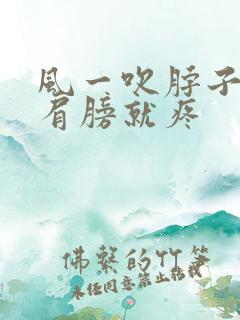 风一吹脖子后面肩膀就疼