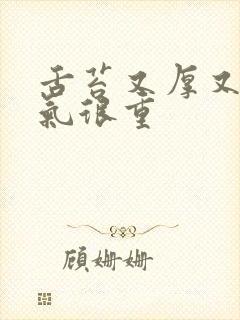 舌苔又厚又黄口气很重