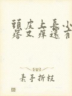 头皮上长小红疙瘩又痒还有头皮