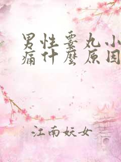 男性睾丸小腹疼痛什么原因