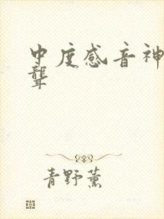 中度感音神经性聋