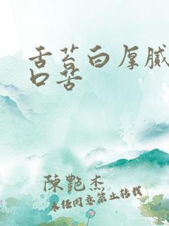 舌苔白厚腻口干口苦