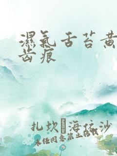 湿气舌苔黄腻有齿痕