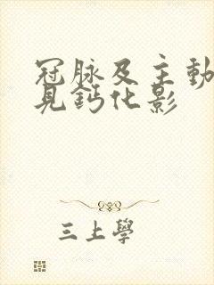 冠脉及主动脉壁见钙化影