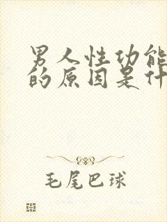 男人性功能衰退的原因是什么