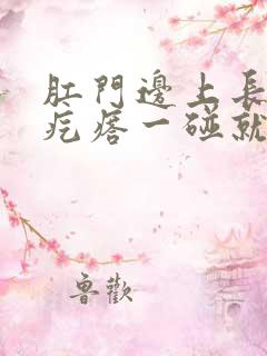 肛门边上长一个疙瘩一碰就疼