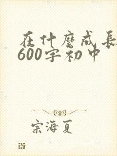 在什么成长作文600字初中