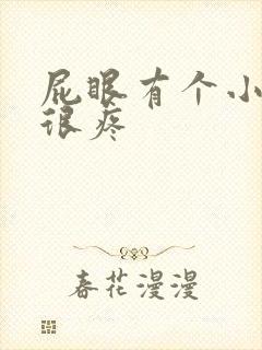 屁眼有个小肉球很疼