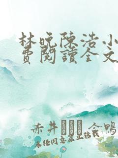 林晚陈浩小说免费阅读全文最新章节