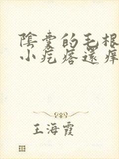 阴囊的毛根下有小疙瘩还痒很痒