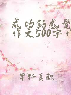 成功的感觉真好作文500字作文