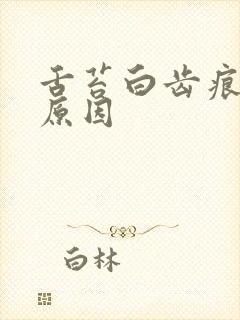 舌苔白齿痕什么原因