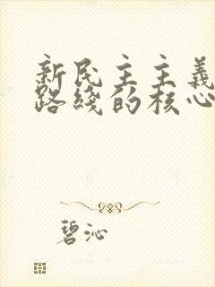 新民主主义革命路线的核心是( ).