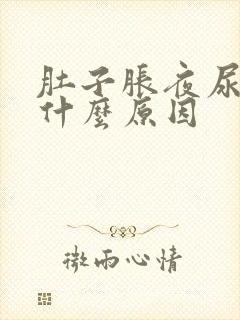 肚子胀夜尿多是什么原因