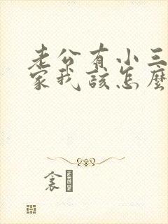 老公有小三不回家我该怎么办