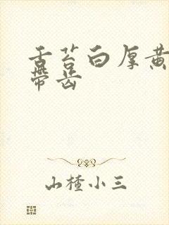 舌苔白厚黄舌尖带齿