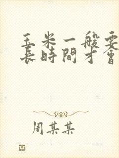 玉米一般要煮多长时间才会熟