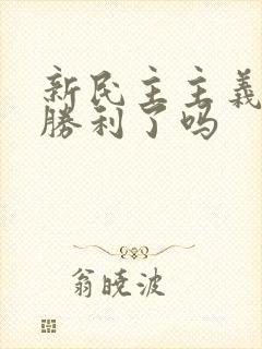 新民主主义革命胜利了吗