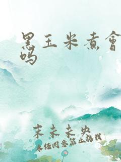 黑玉米煮会掉色吗