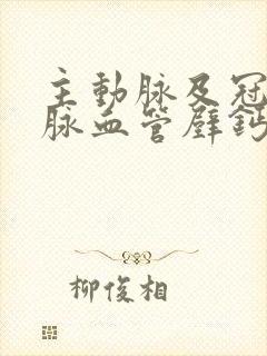 主动脉及冠状动脉血管壁钙化