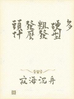 头发粗硬多适合什么发型