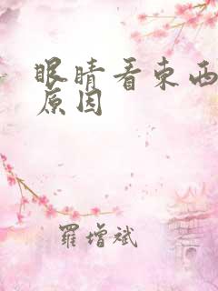 眼睛看东西模糊原因