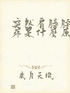 突然肩膀脖子很疼是什么原因