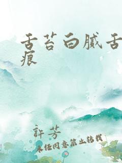 舌苔白腻舌边齿痕