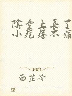 阴囊上长了一个小疙瘩不痛不痒