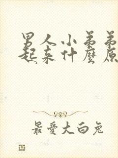 男人小弟弟硬不起来什么原因