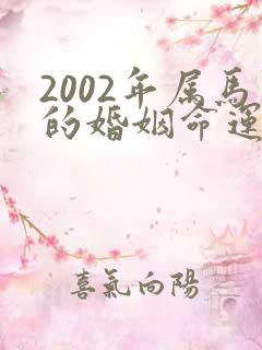 2002年属马的婚姻命运财运如何