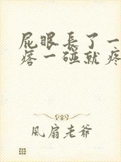 屁眼长了一个疙瘩一碰就疼