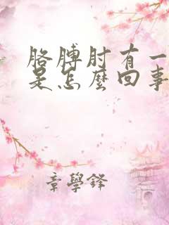 胳膊肘有一点疼是怎么回事