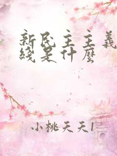 新民主主义总路线是什么